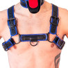 Brutus Harnais Puppy Harness Noir-Bleu
